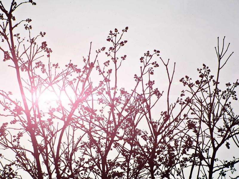 sudoku web browser game