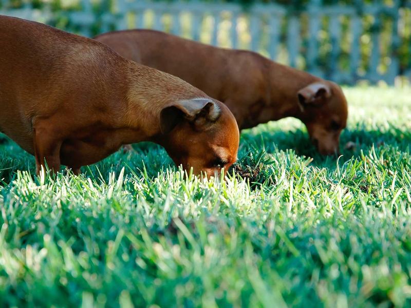 sudoku web browser game screenshot 5