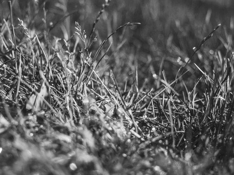 accessibility screenshot 3