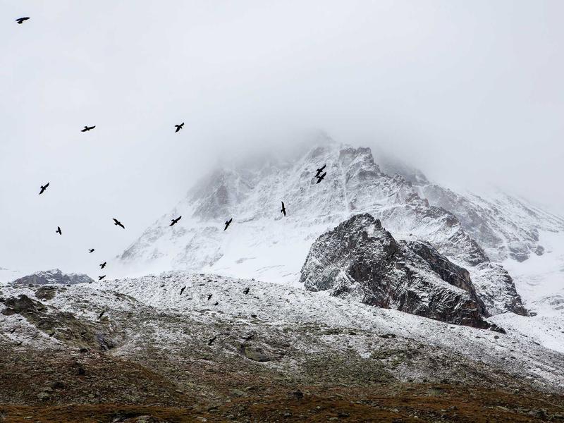 sudoku web browser game screenshot 1